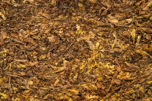 Your Compost is Finished. Now What? A Guide on How to Store Compost