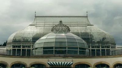 The stunning Victorian glasshouse dome of Phipps Conservatory in Pittsburgh, showcasing palm trees and natural light