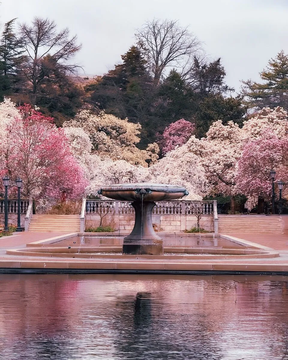 Brooklyn Botanic Garden
