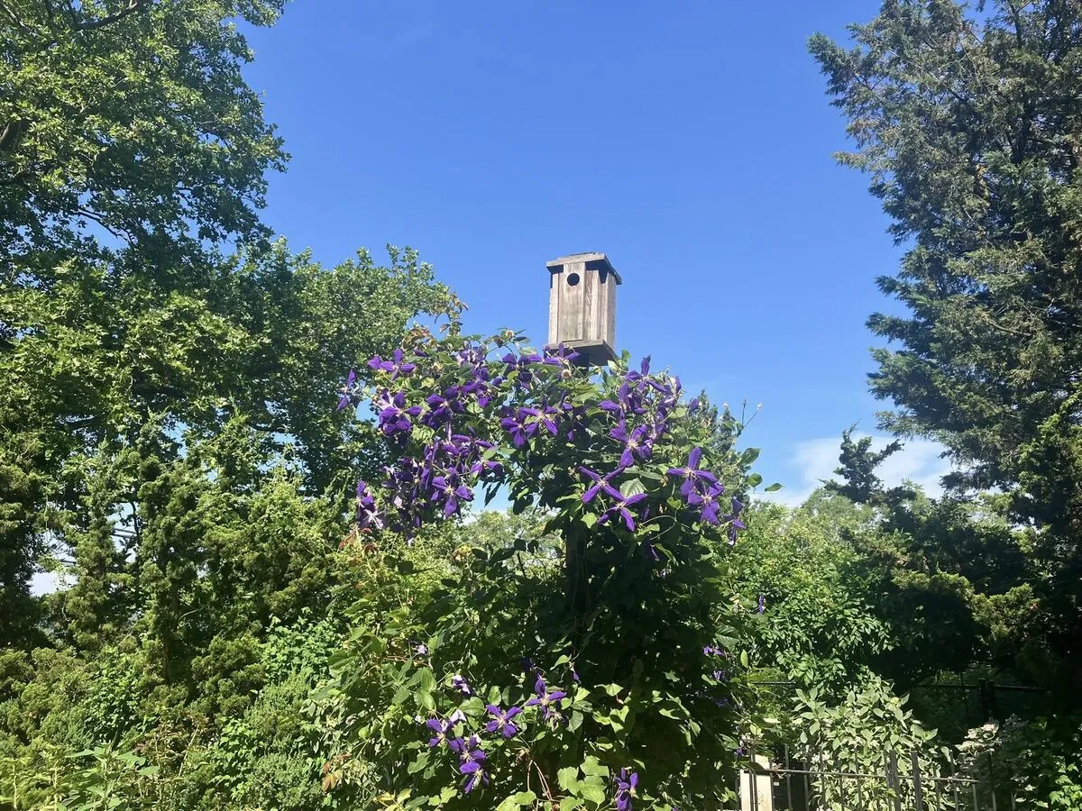 Narrows Botanical Gardens