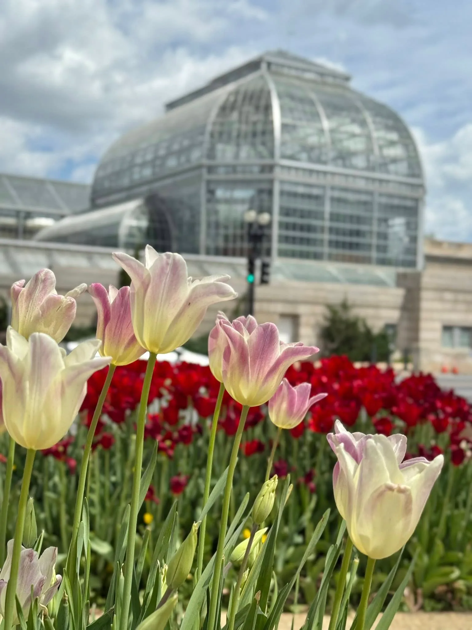 Washington botanical gardens
