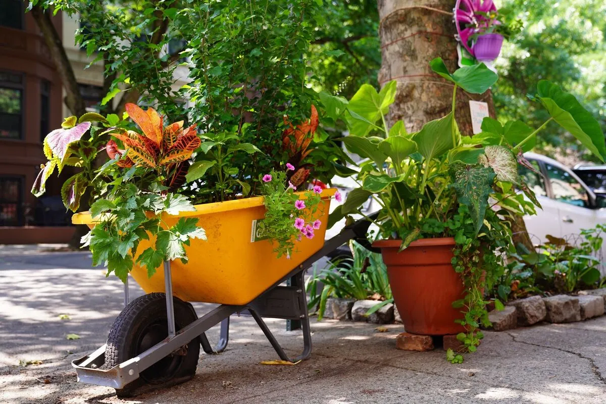 Brooklyn Botanic Garden